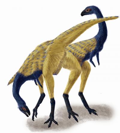 Limusaurus inextricabilis